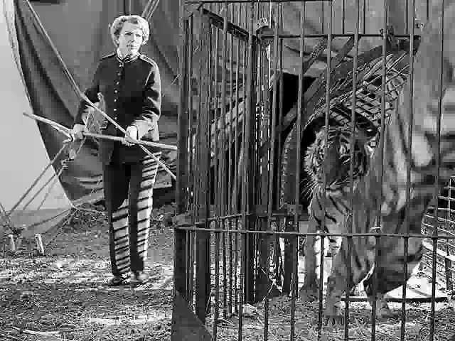woman tiger trainer at circus